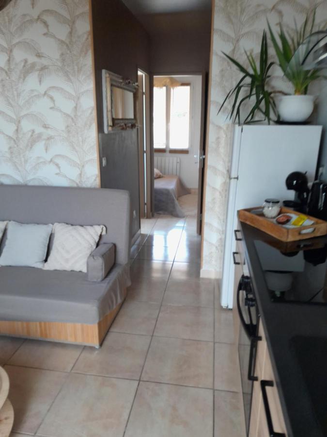 Appartement T1 Plain Pied Le Cannet-des-Maures Εξωτερικό φωτογραφία